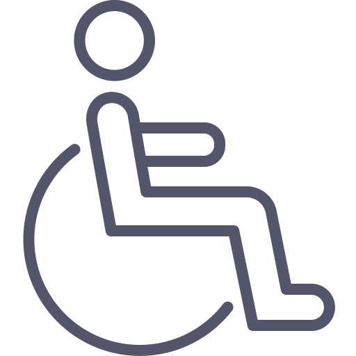 Accessability icon